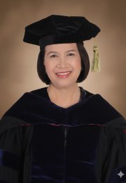 Pajaron grad photo